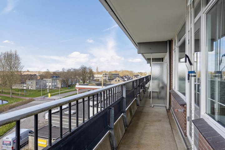 Foto 15 van Penningkruid 21