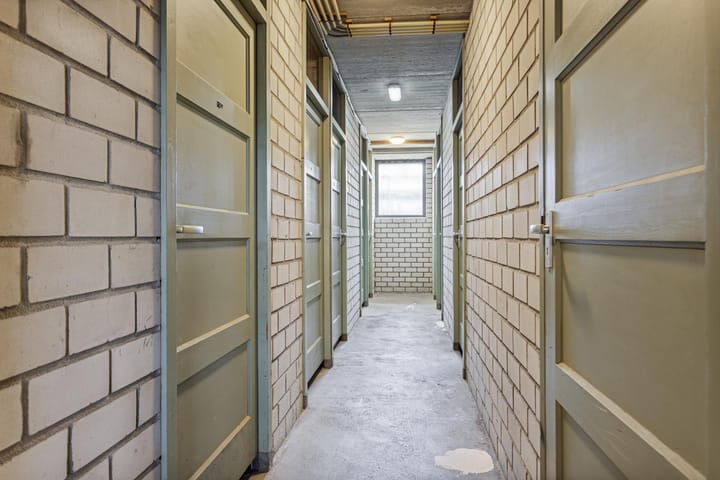 Foto 16 van Penningkruid 21