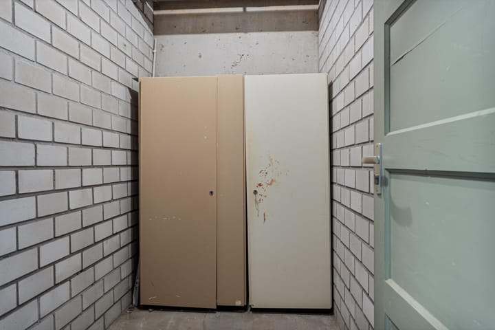 Foto 17 van Penningkruid 21