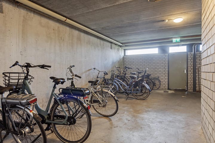 Foto 18 van Penningkruid 21