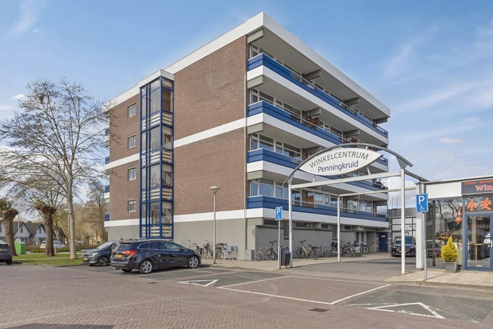 Foto 19 van Penningkruid 21