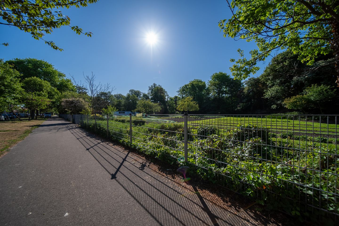 Foto 40 van Mozartlaan 161