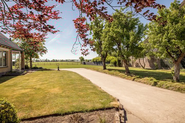 Foto 4 van Dr.Nuijensstraat 106