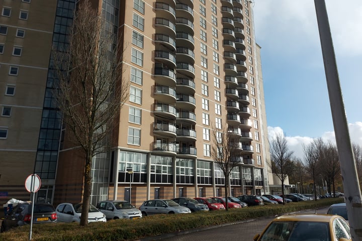 Iepenlaan 49-53, Spijkenisse