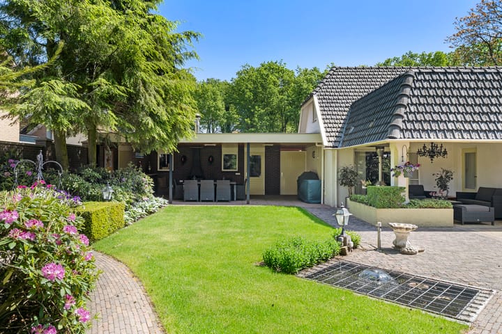 Photo 39 of Onderlangs 1