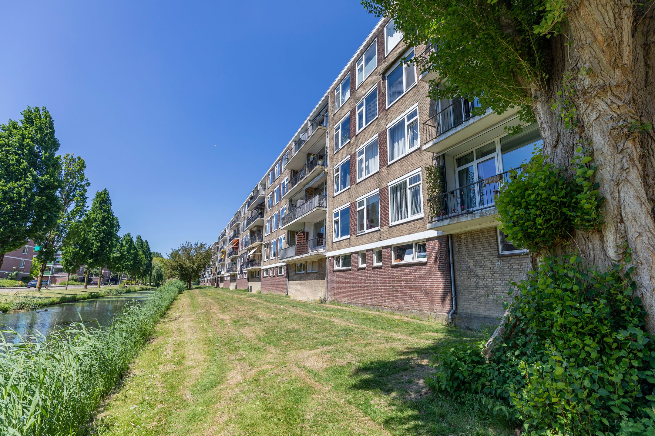 Foto 27 van Dahliastraat 84