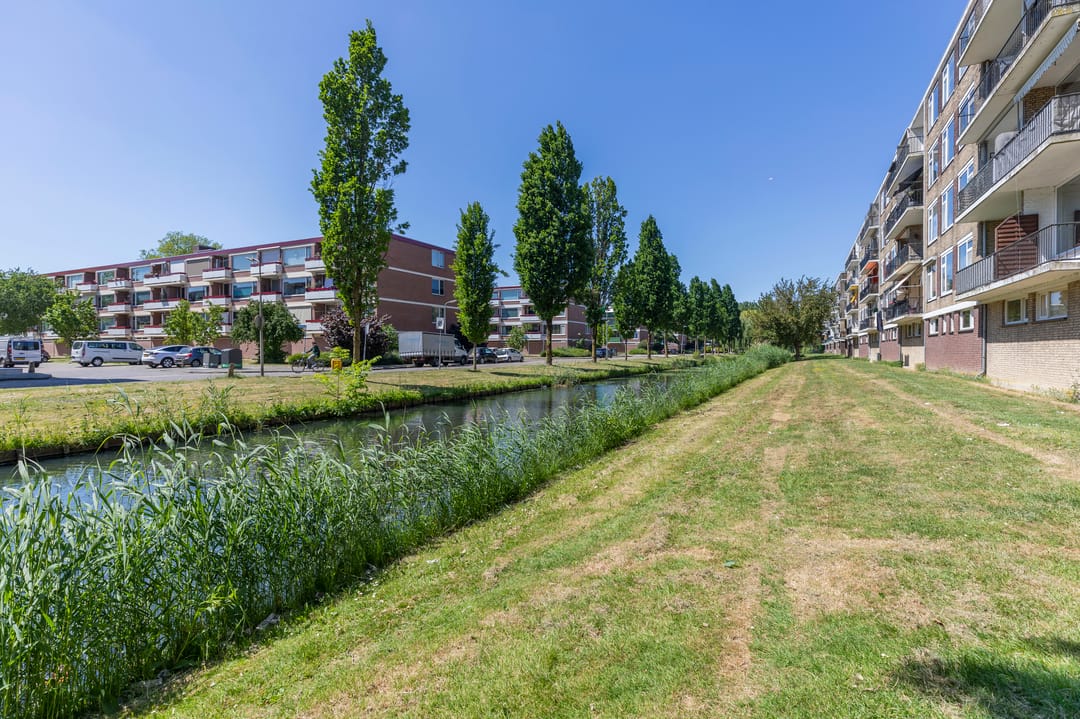 Foto 28 van Dahliastraat 84