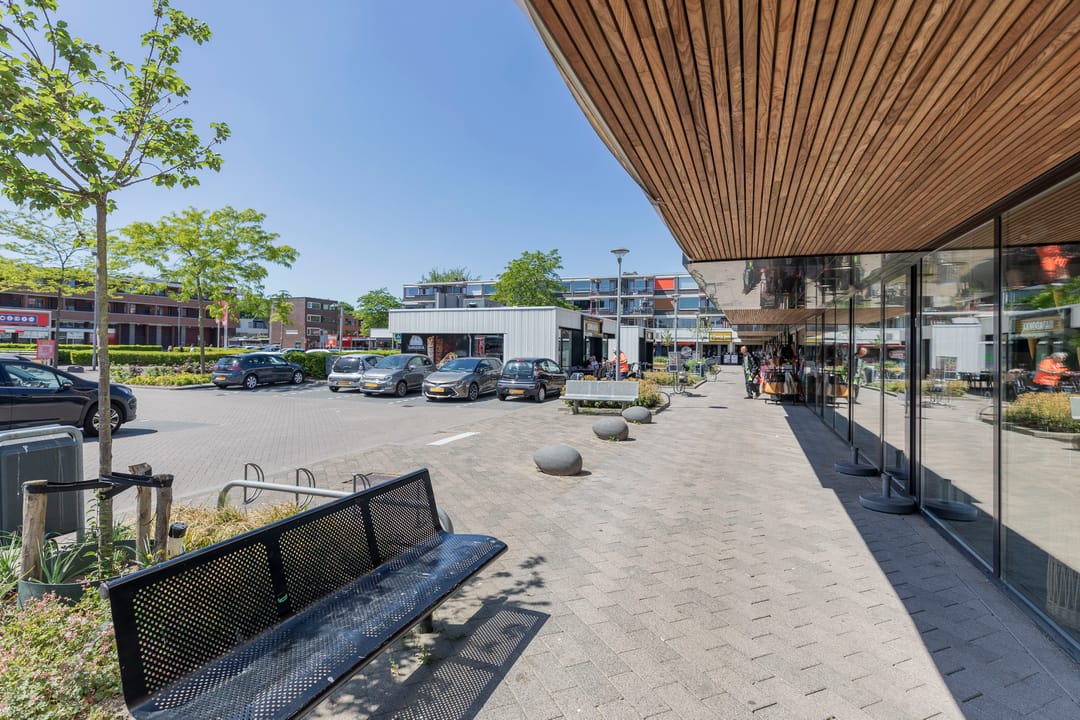 Foto 31 van Dahliastraat 84