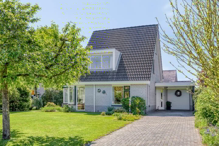 Korenbloem 1