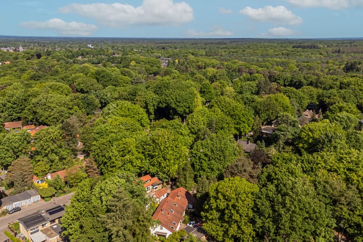 Foto 43 van Buurtmeesterweg 62