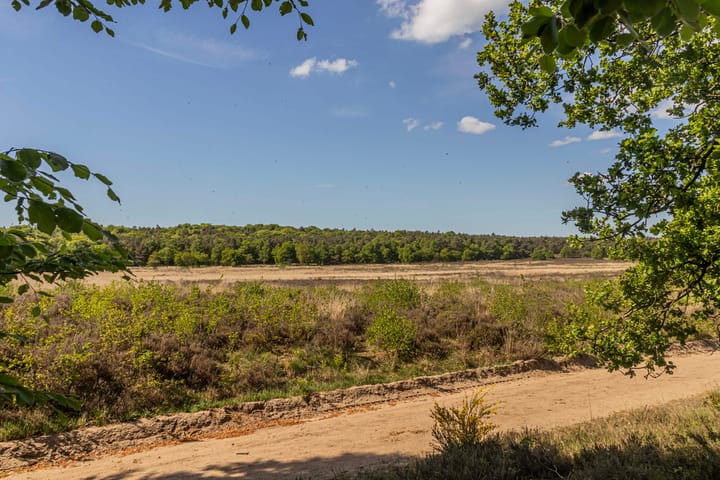 Foto 45 van Buurtmeesterweg 62