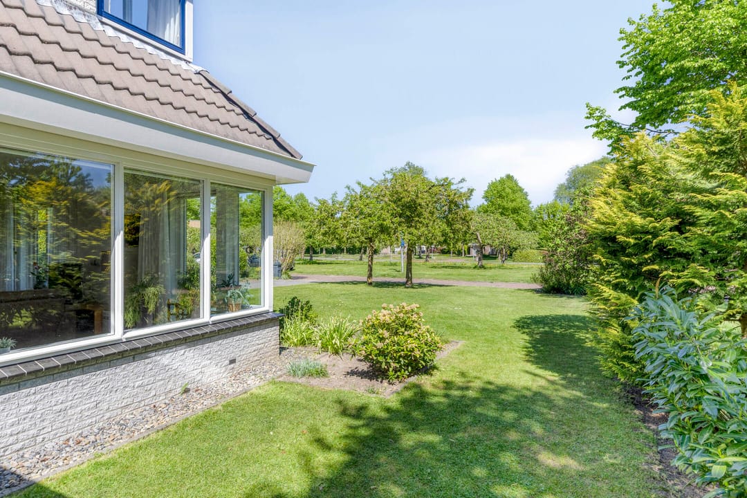 Foto 38 van Korenbloem 1