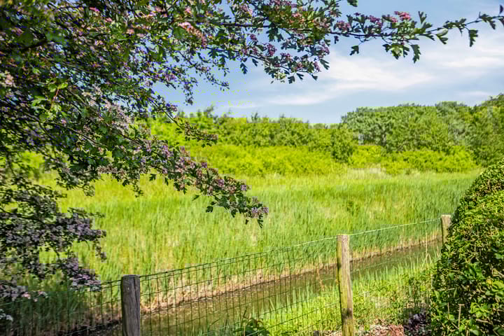 Foto 30 van Joossesweg 207