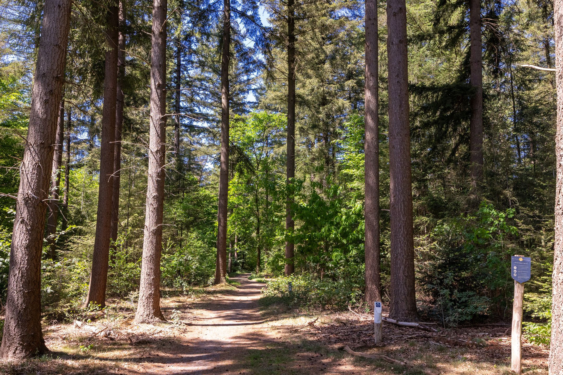 Foto 42 van Oude Arnhemse Bovenweg 16