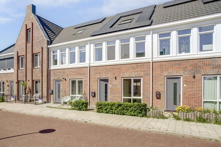 undefined main image