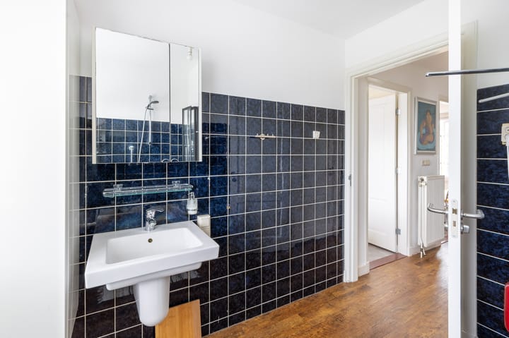 Foto 23 van Dahliastraat 6