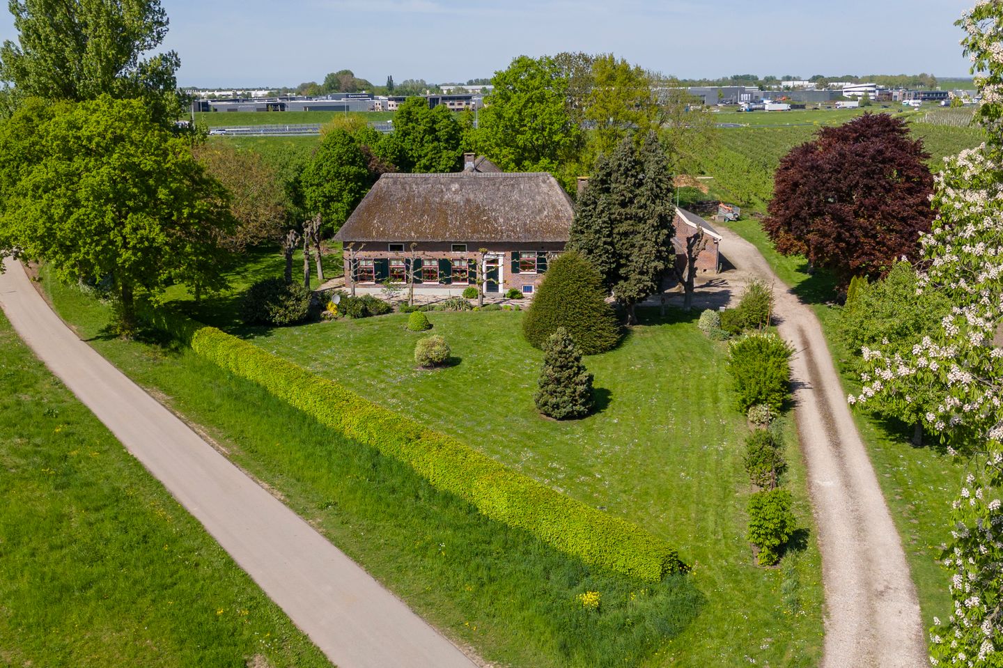 Foto 5 van Blankertseweg 8