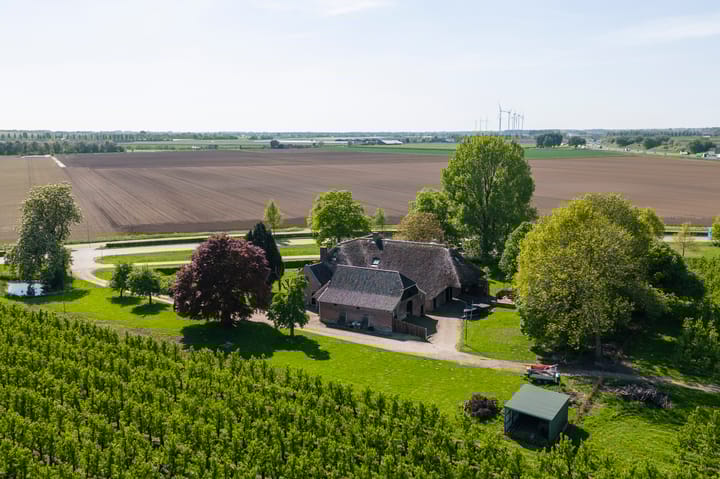 Foto 33 van Blankertseweg 8