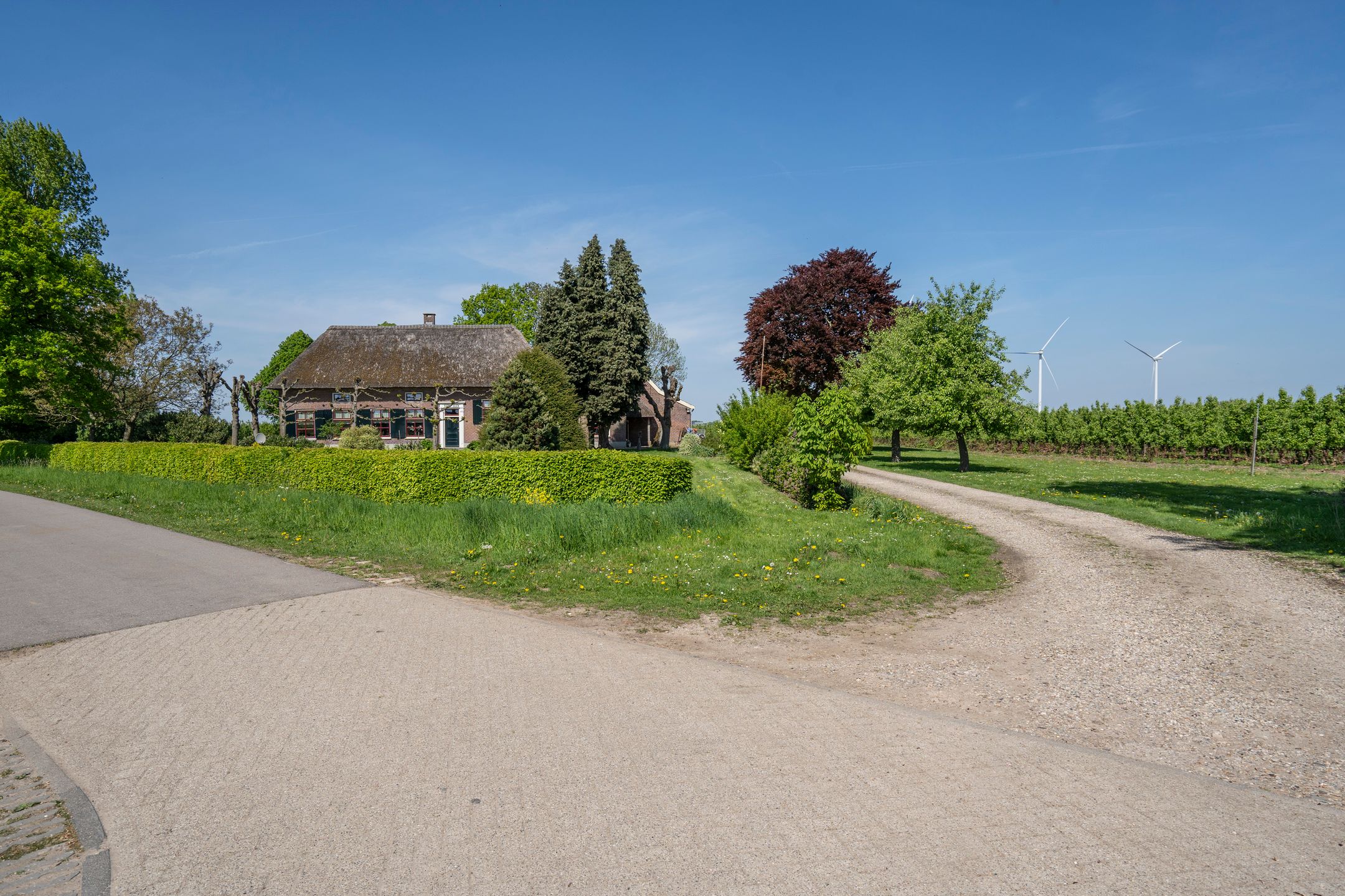 Foto 51 van Blankertseweg 8