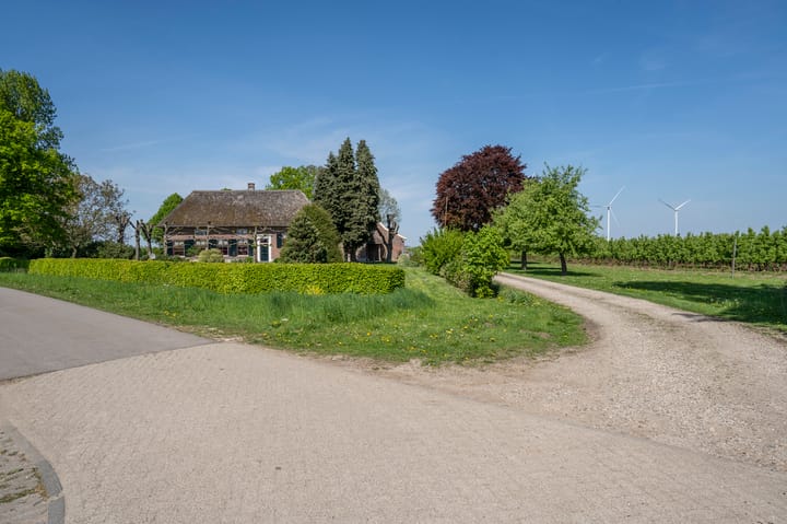 Foto 51 van Blankertseweg 8