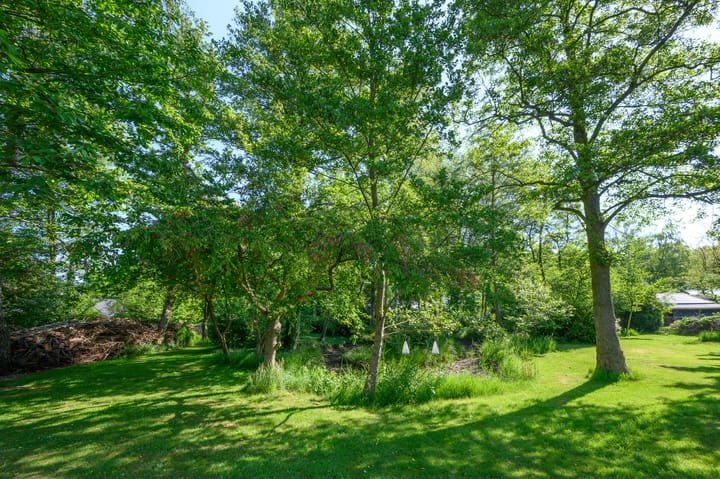 Foto 35 van Boterweg 10