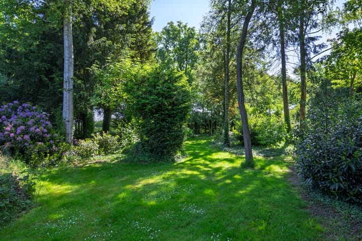 Foto 36 van Boterweg 10