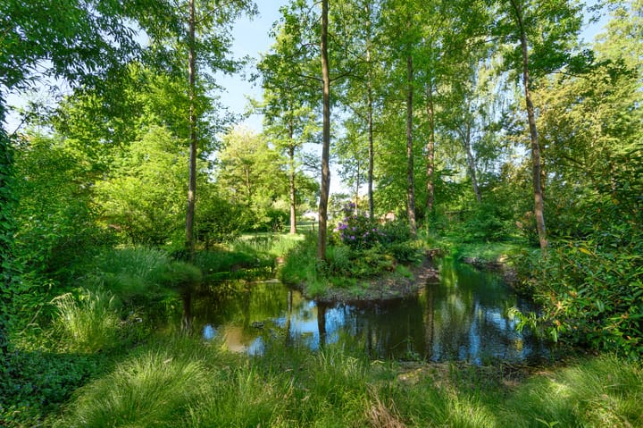 Foto 37 van Boterweg 10