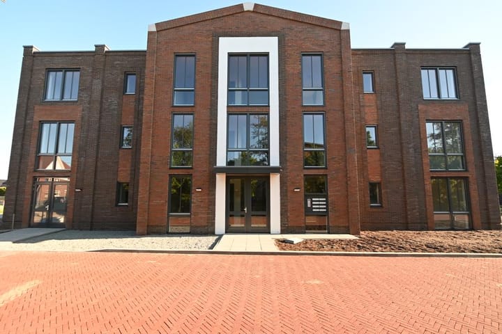 Haagbeuk 47