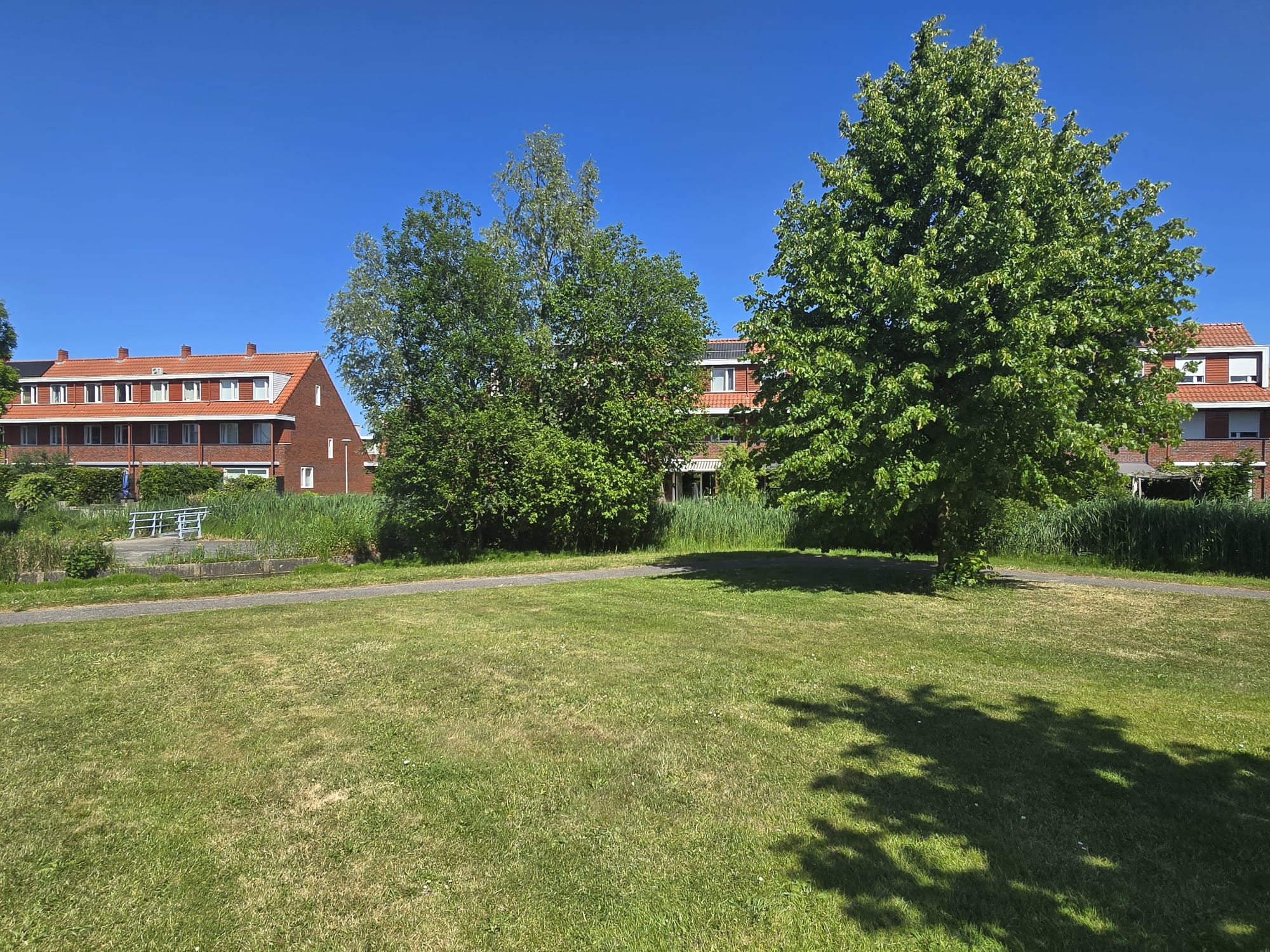 Foto 27 van Crijnssenstraat 11