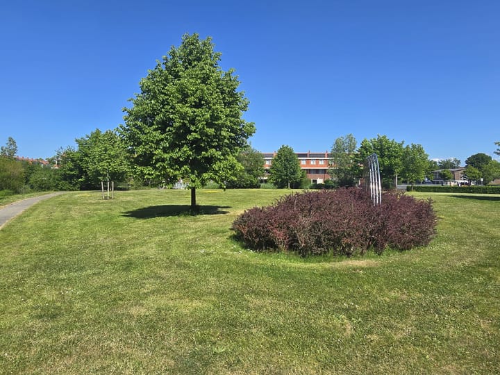 Foto 29 van Crijnssenstraat 11