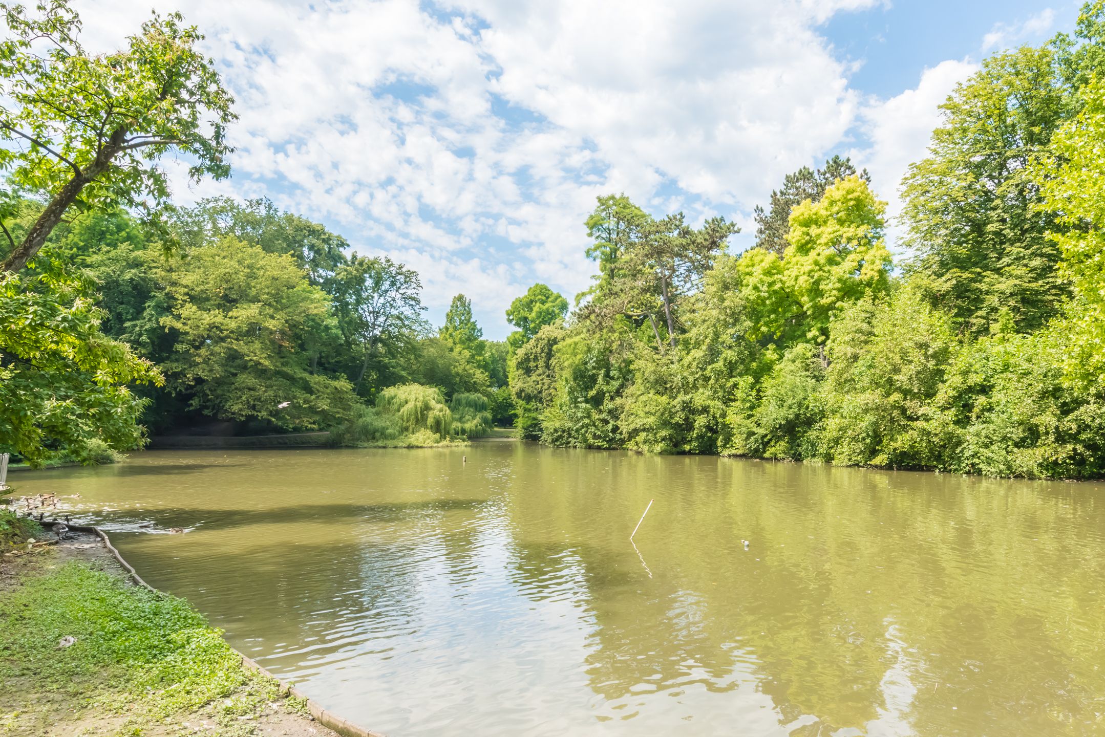 Foto 24 van Hermannus Elconiusstraat 18