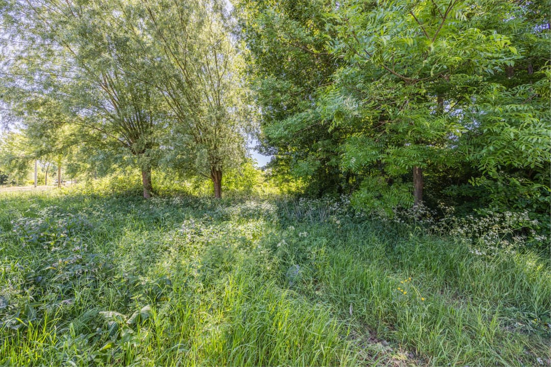 Foto 37 van Dedemsvaartweg 1323