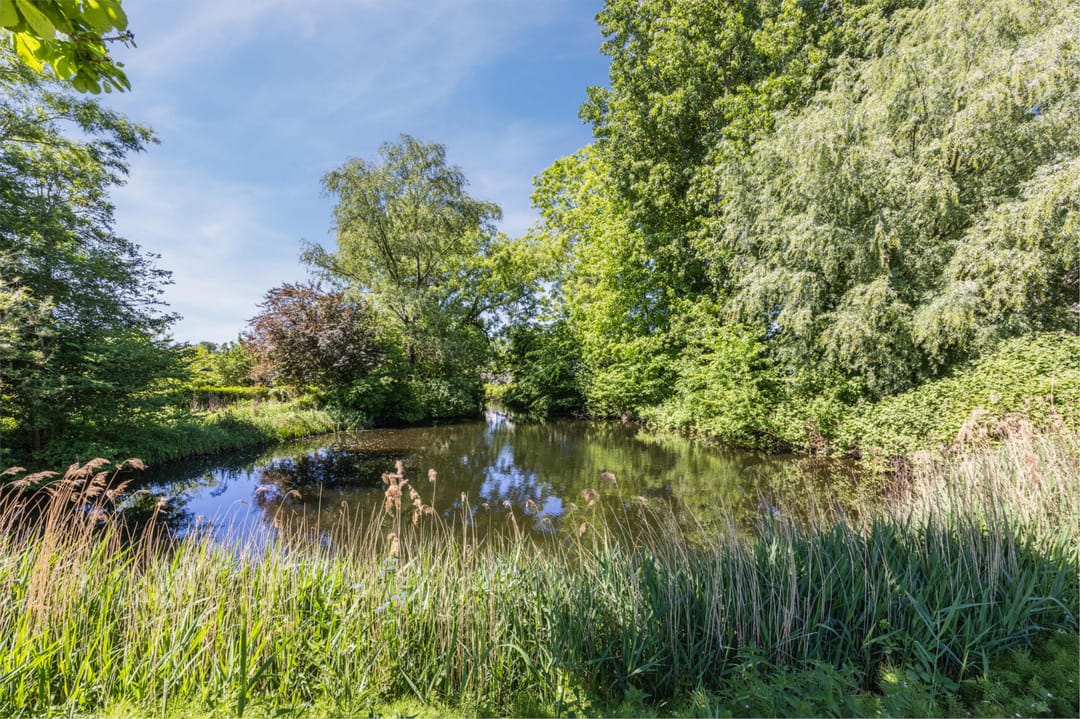 Foto 38 van Dedemsvaartweg 1323