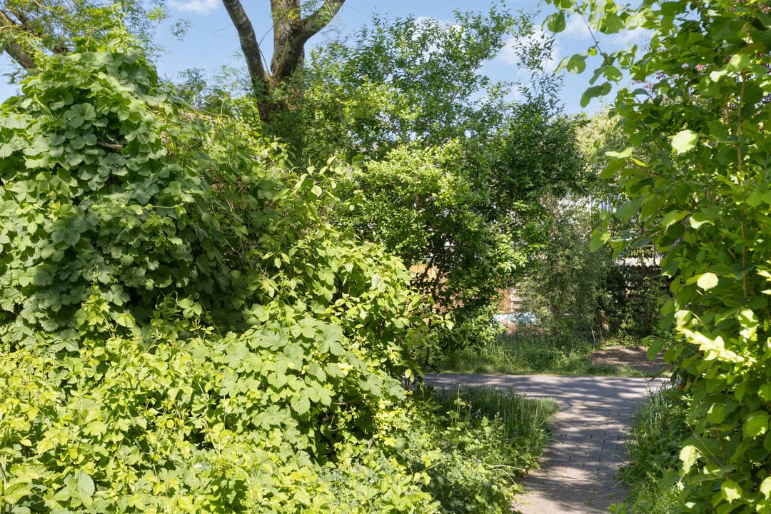 Photo 37 of Schaepmanstraat 32