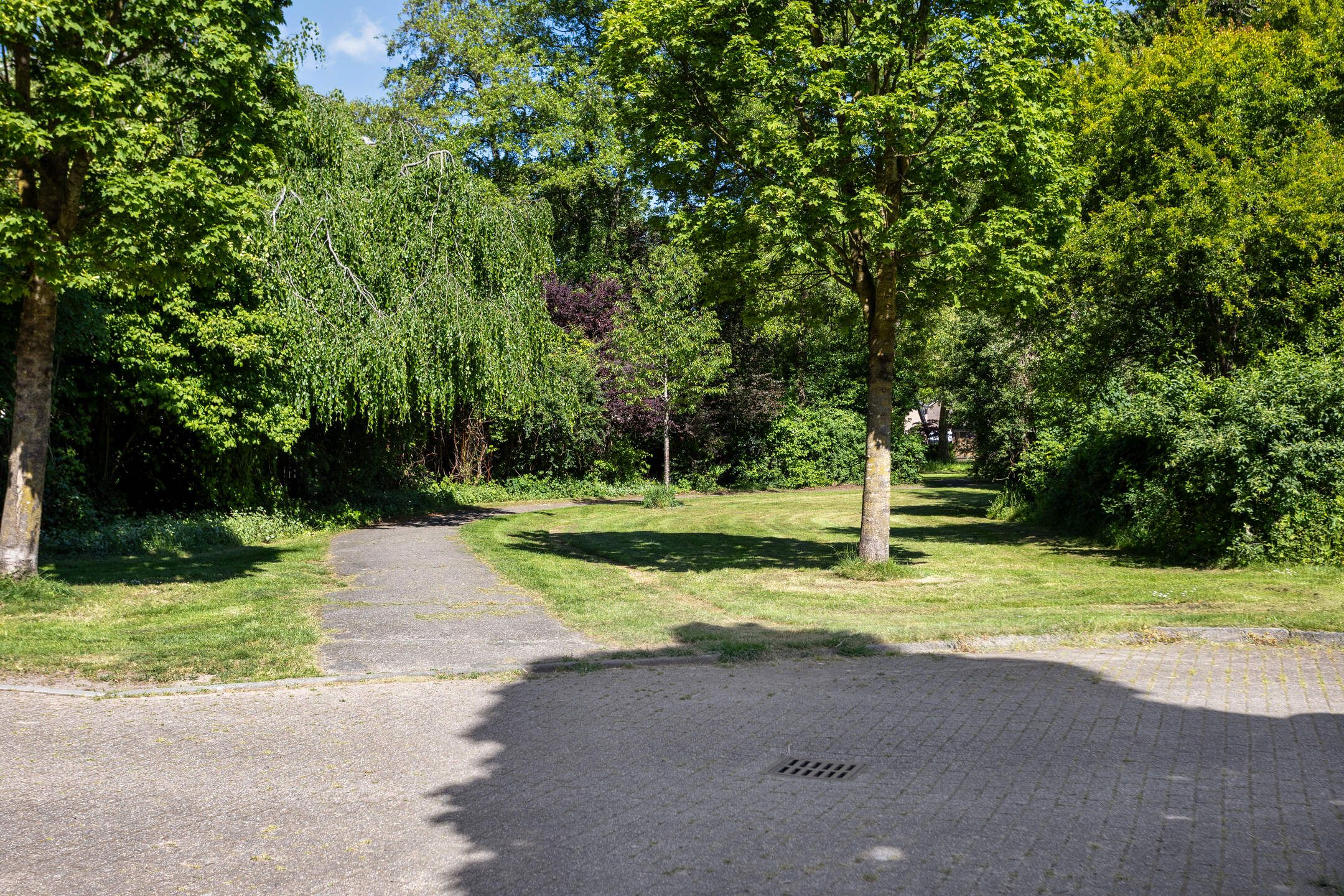 Photo 39 of Schaepmanstraat 32