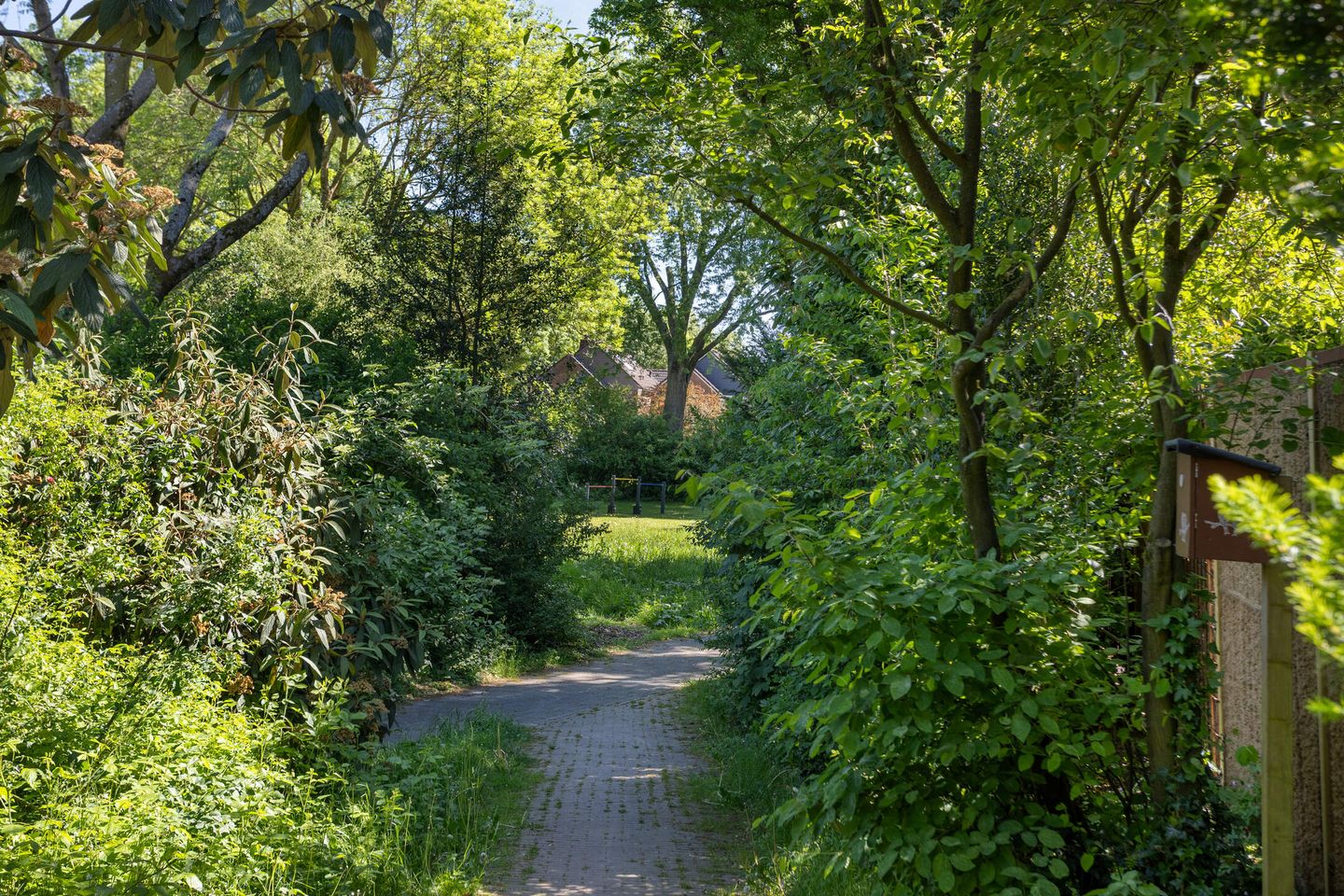 Photo 40 of Schaepmanstraat 32