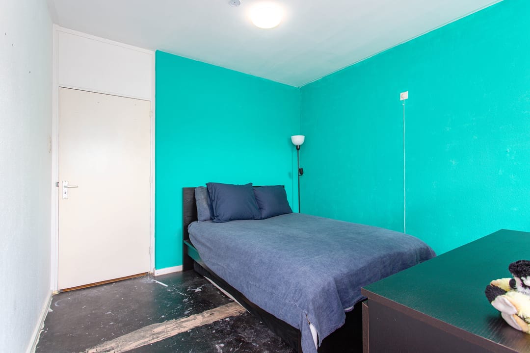 Foto 13 van Livingstonelaan 520