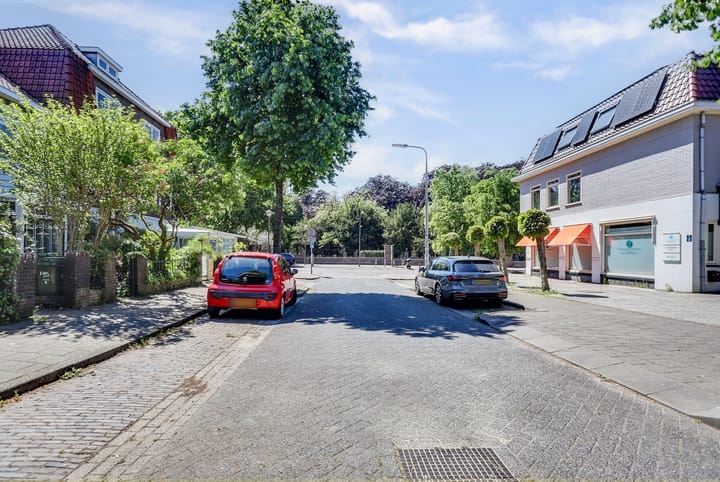 Photo 49 of Hobbemastraat 8