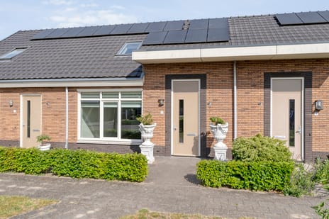 undefined main image