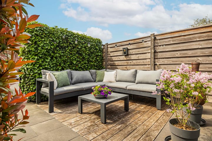 Foto 30 van Meerkoet 22