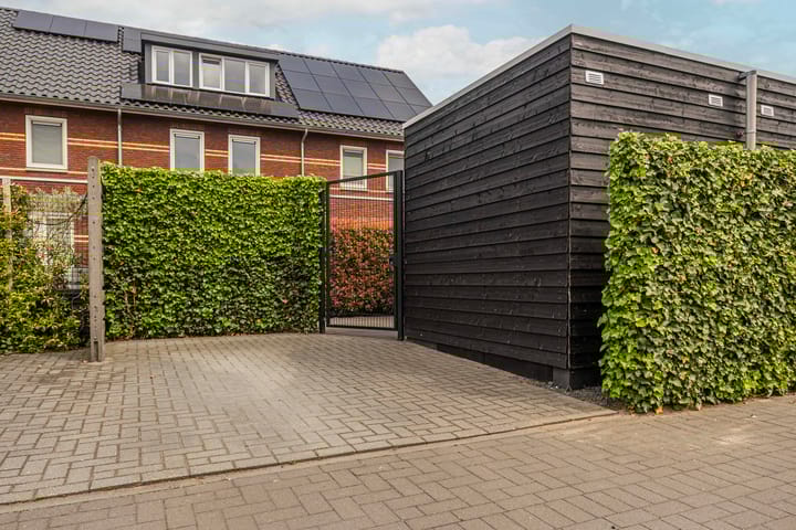 Foto 33 van Meerkoet 22