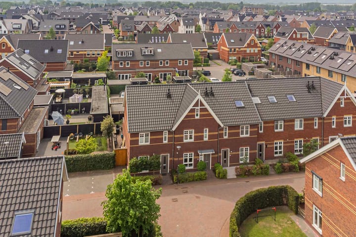 Foto 36 van Meerkoet 22