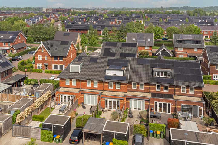 Foto 38 van Meerkoet 22