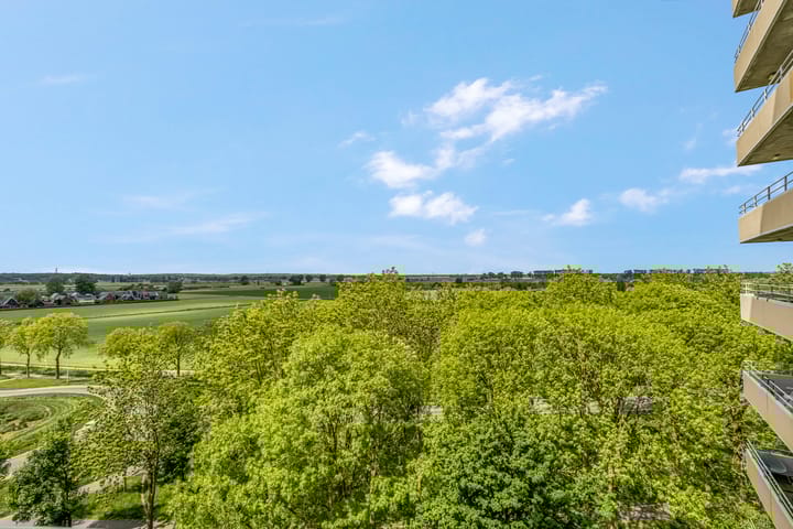 Foto 20 van Albardaweg 85