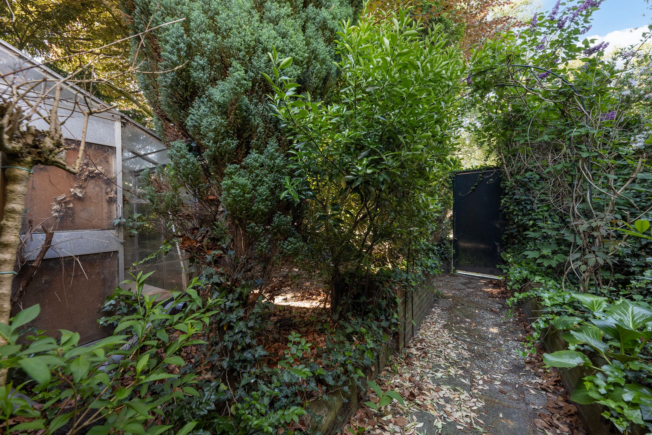 Foto 48 van Adriaansweg 22