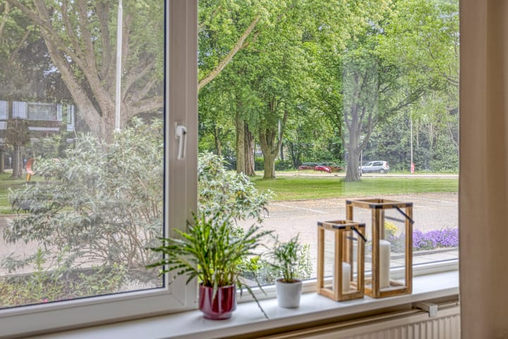 Foto 9 van Robbesant 20