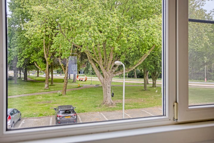 Foto 23 van Robbesant 20