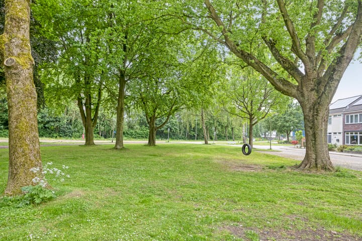 Foto 33 van Robbesant 20