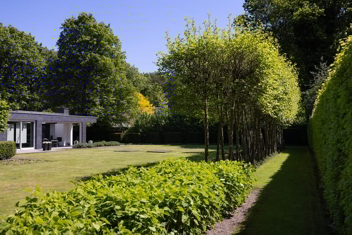 Foto 64 van Lariksweg 16