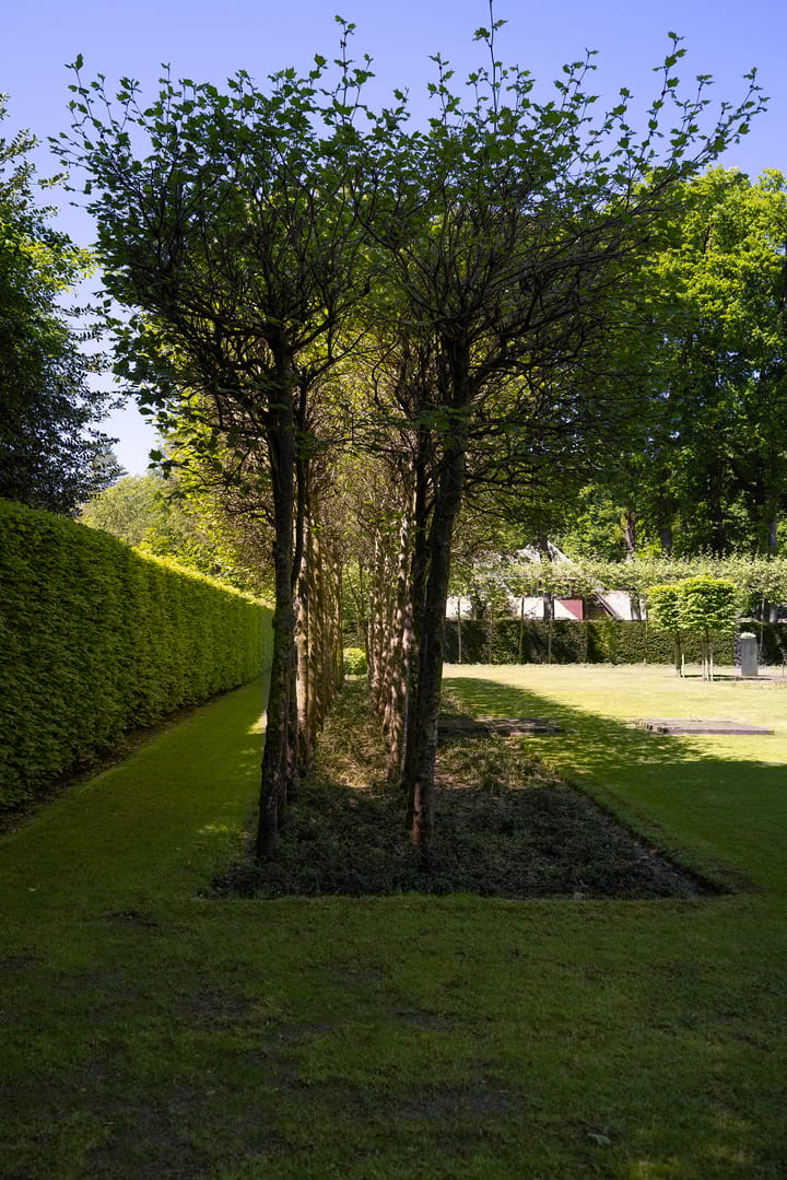 Foto 66 van Lariksweg 16